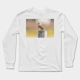 Quizzical Meadowlark by Debra Martz Long Sleeve T-Shirt